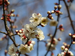 大高緑地公園にて