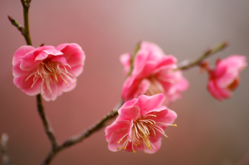 大高緑地公園にて　
