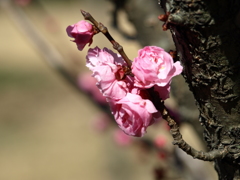 大高緑地公園にて　