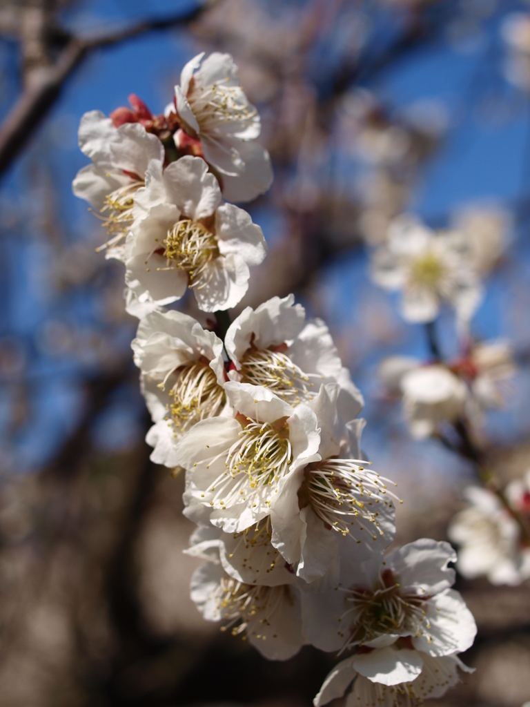 大高緑地公園にて　