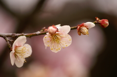 大高緑地公園にて　