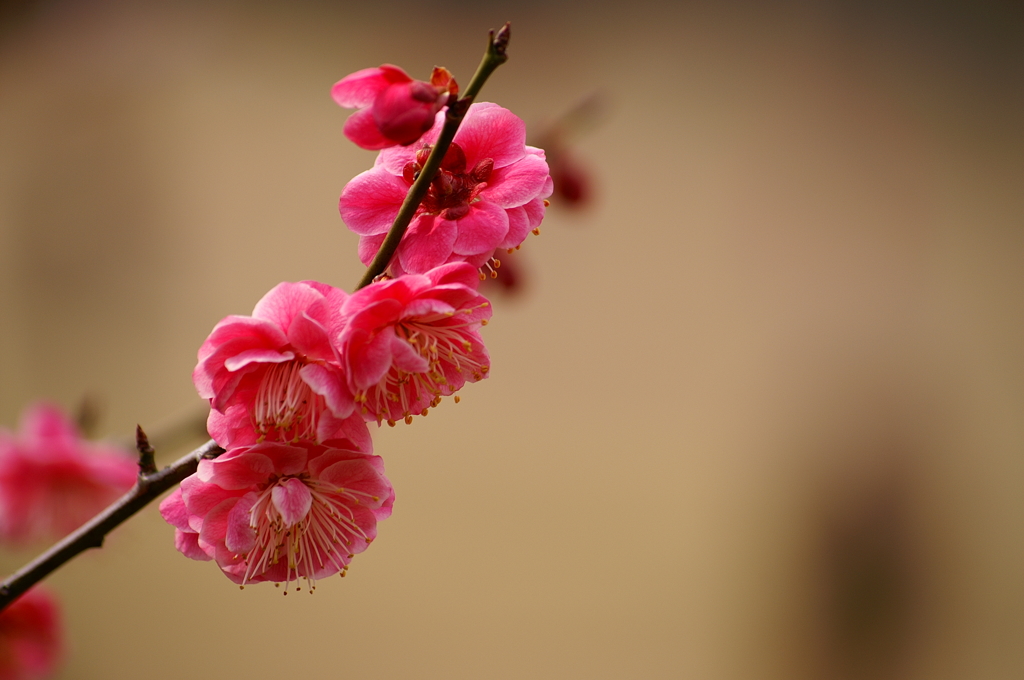 大高緑地公園にて　