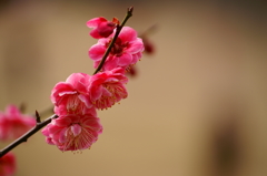 大高緑地公園にて　
