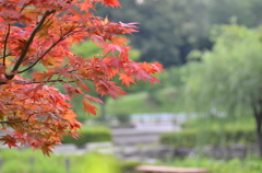 大高緑地公園にて　