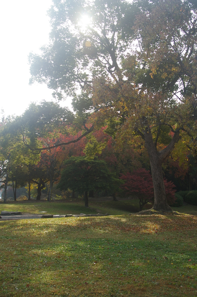 晩秋の日差しを受けて^^