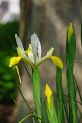 名古屋市農業センターにて　