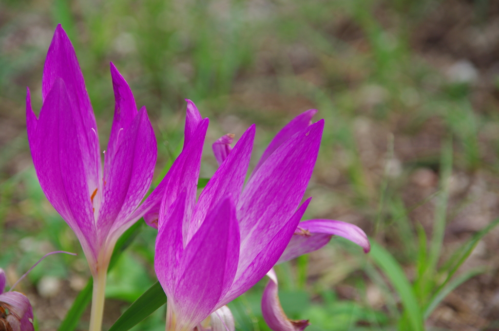 名古屋市農業センターにて　