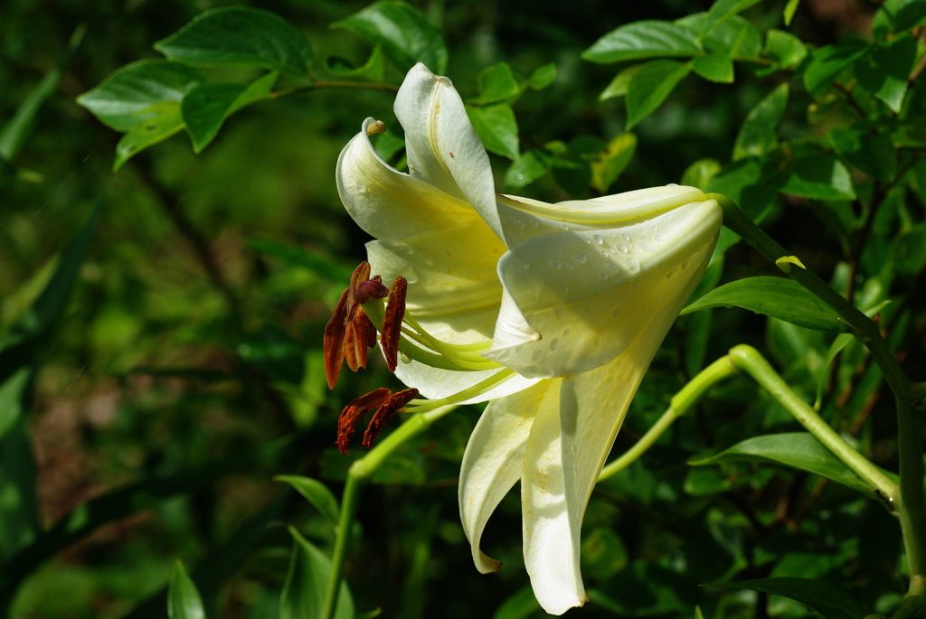 名古屋市農業センターにて　