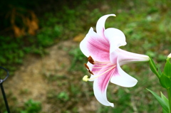 名古屋市農業センターにて　