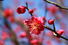 大高緑地公園にて