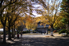 名古屋市農業センターにて