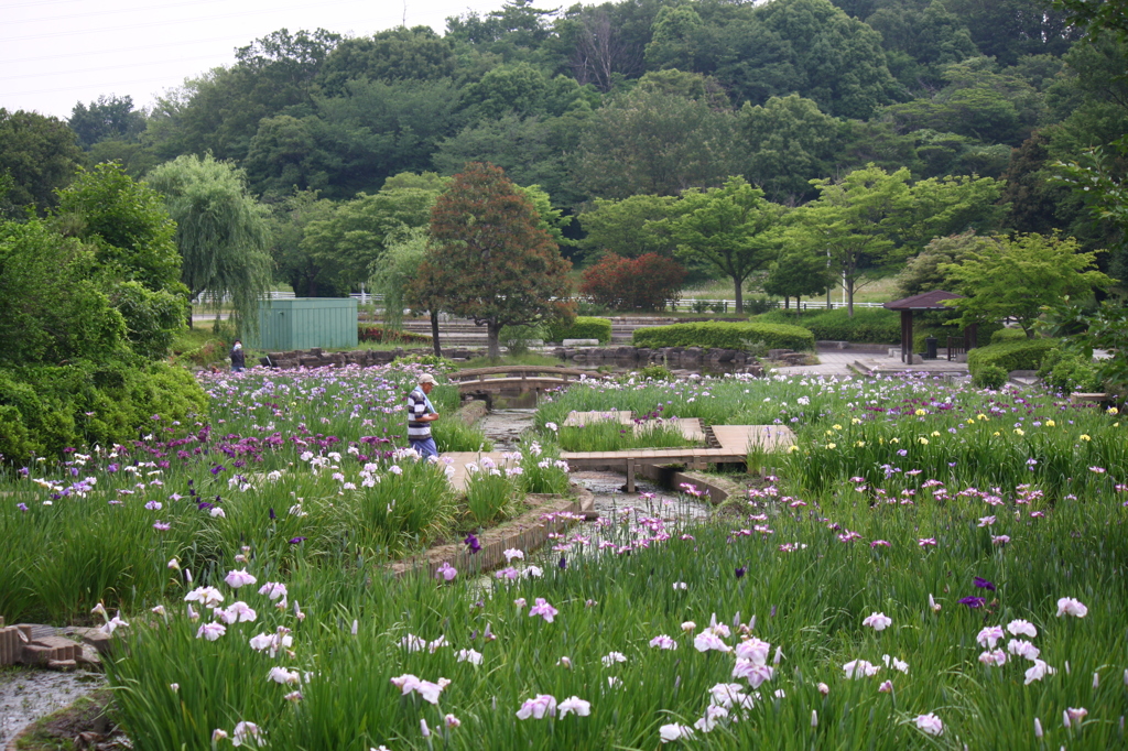 大高緑地公園にて　