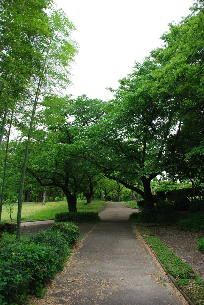 名古屋市農業センターにて　