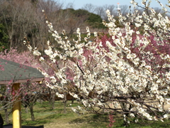 大高緑地公園にて　
