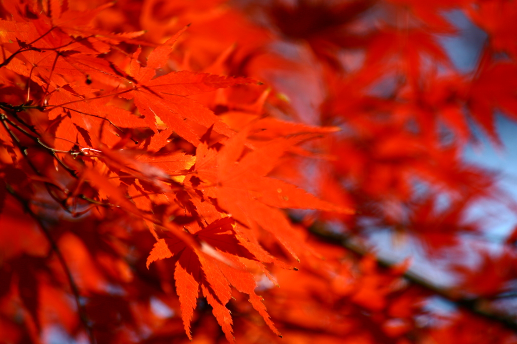 大高緑地公園にて