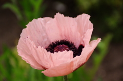 名古屋市農業センターにて　