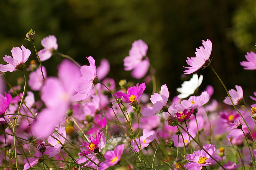 みどりが丘公園にて　
