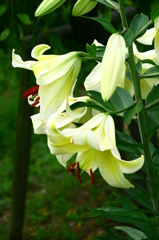 名古屋市農業センターにて　