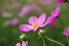 みどりが丘公園にて　