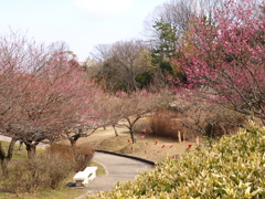 大高緑地公園にて