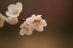大高緑地公園にて　