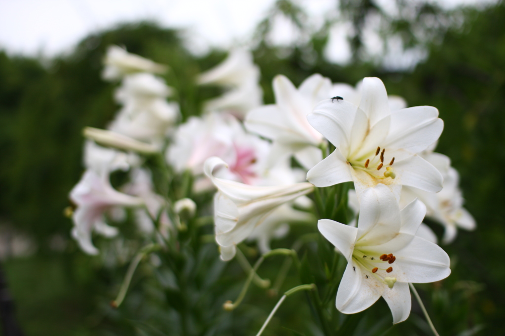 名古屋市農業センターにて　