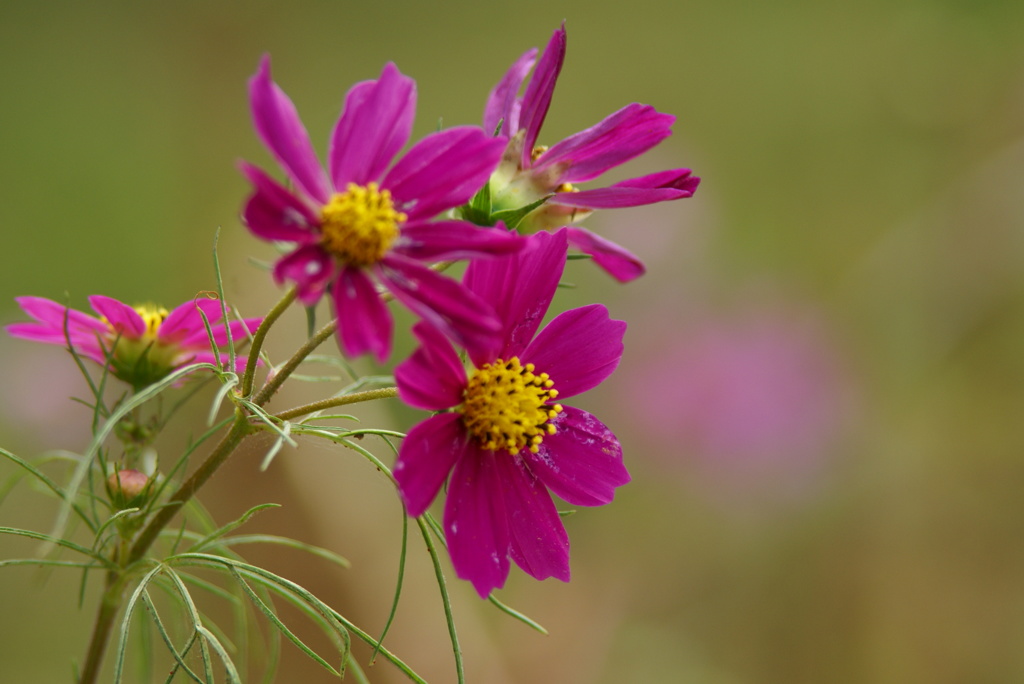 大高緑地公園にて　