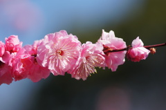 大高緑地公園にて　