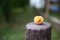 誰が置いたの？