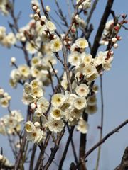 大高緑地公園にて