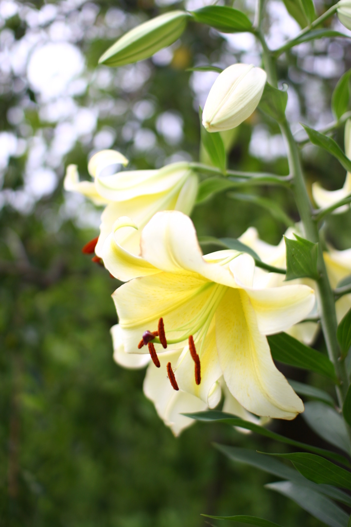 名古屋市農業センターにて　