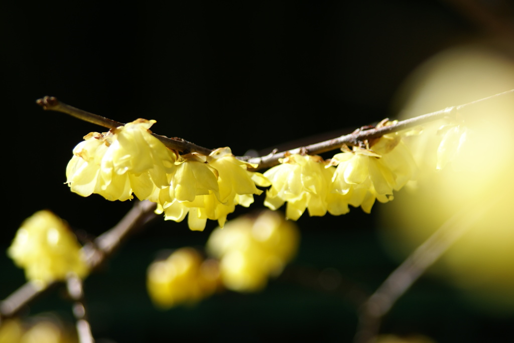 名古屋市農業センターにて