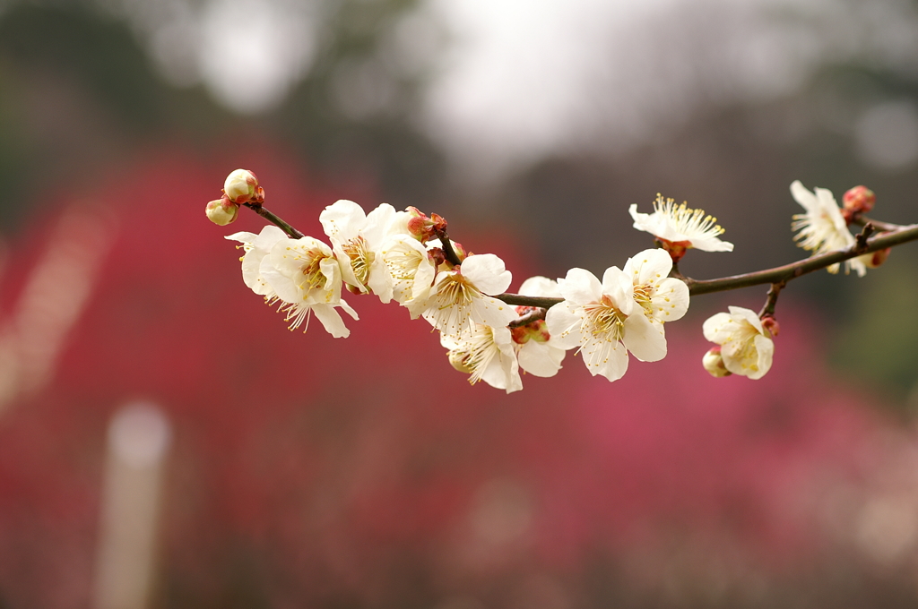 大高緑地公園にて　