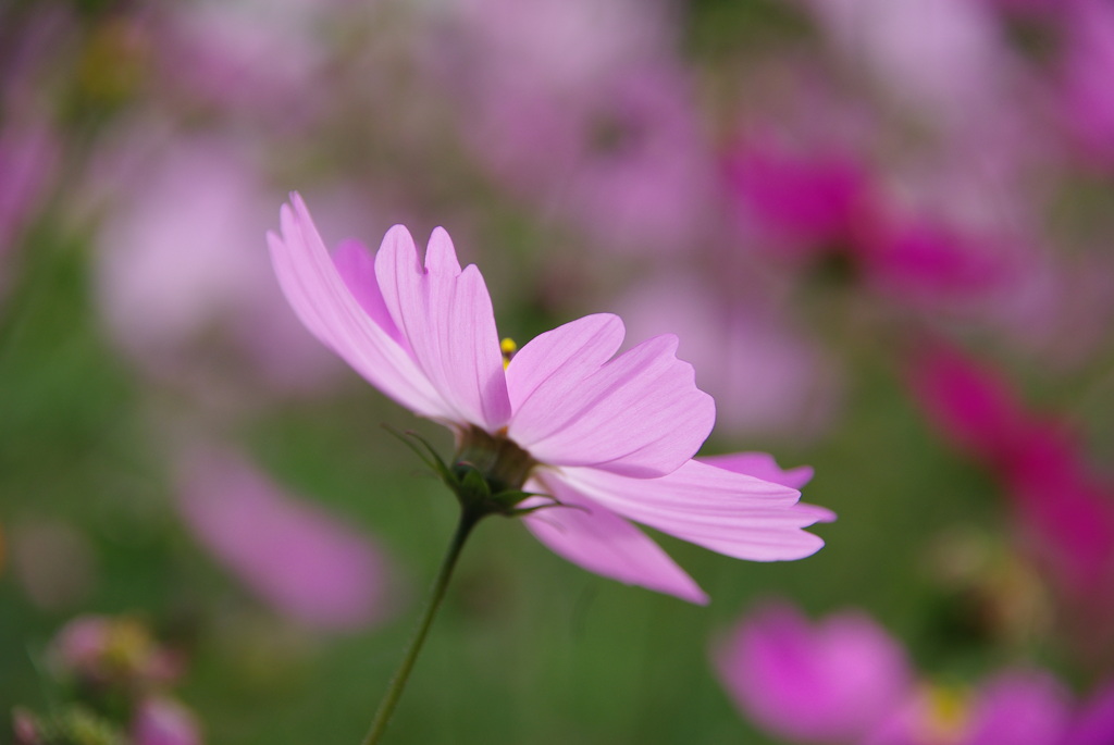 みどりが丘公園にて　