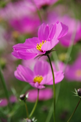 みどりが丘公園にて　