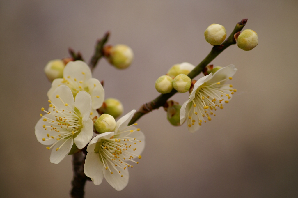 大高緑地公園にて　