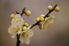 大高緑地公園にて　