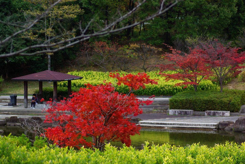 大高緑地公園にて