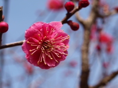 大高緑地公園にて