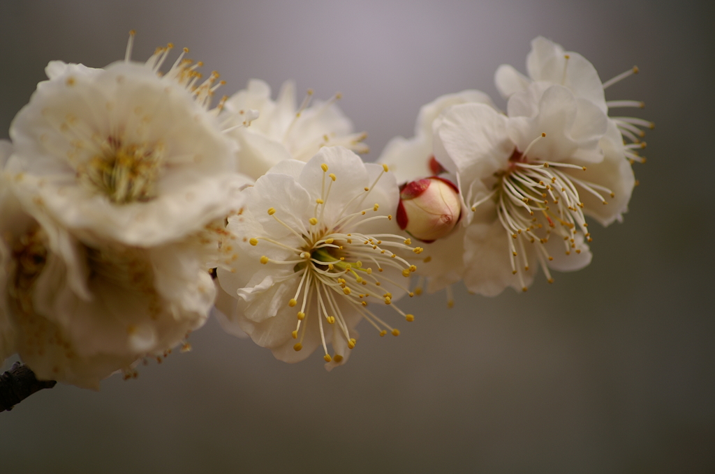 大高緑地公園にて