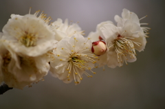 大高緑地公園にて