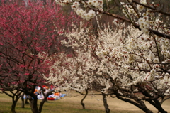 大高緑地公園にて　