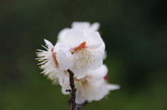 大高緑地公園にて　