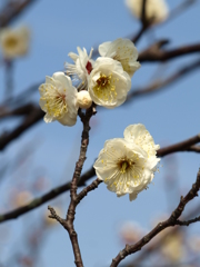 大高緑地公園にて