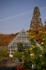 名古屋市農業センターにて