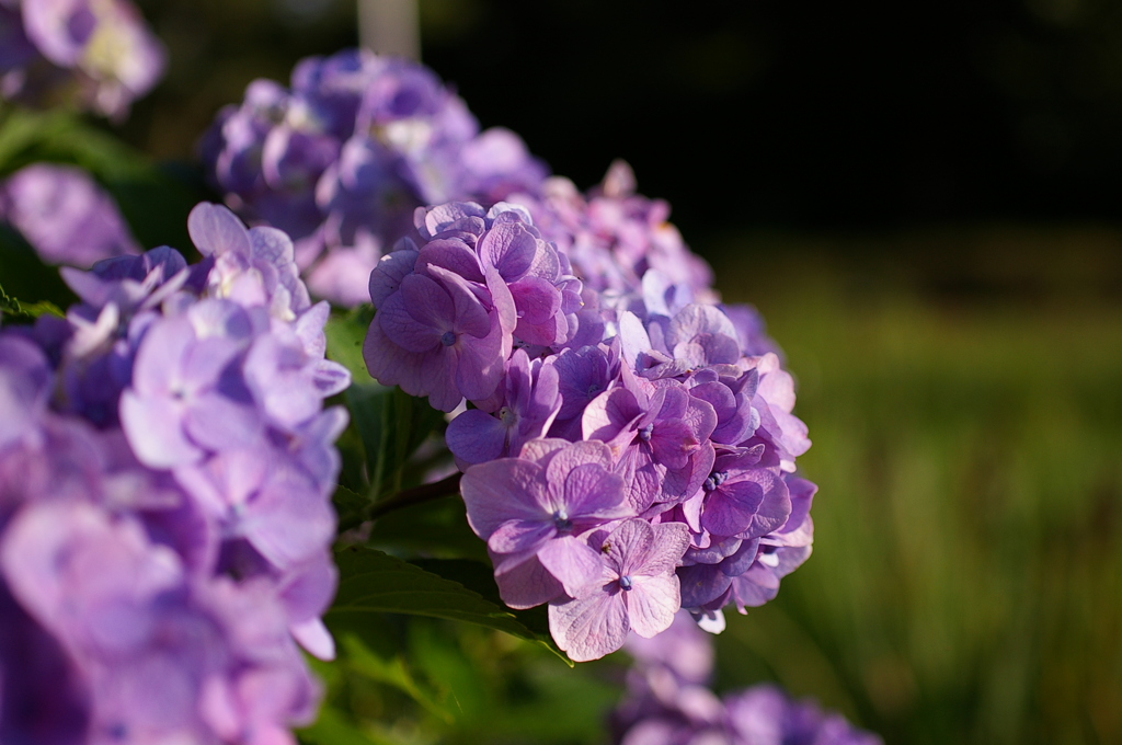 朝陽が嬉しくて＾＾