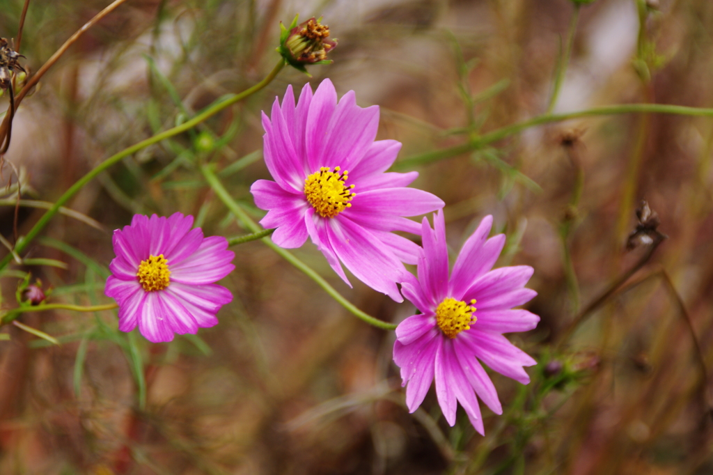 風に揺られて^^