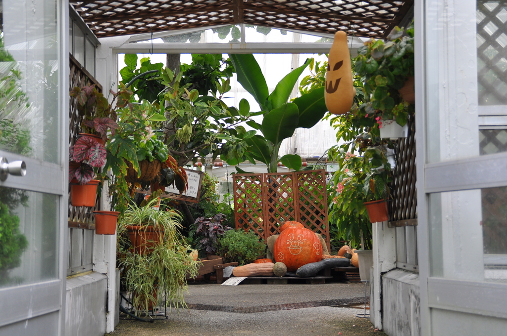 名古屋市農業センターにて　