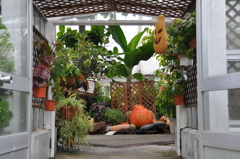 名古屋市農業センターにて　