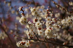 大高緑地公園にて